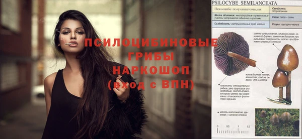 крисы Алексеевка