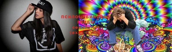 крисы Алексеевка