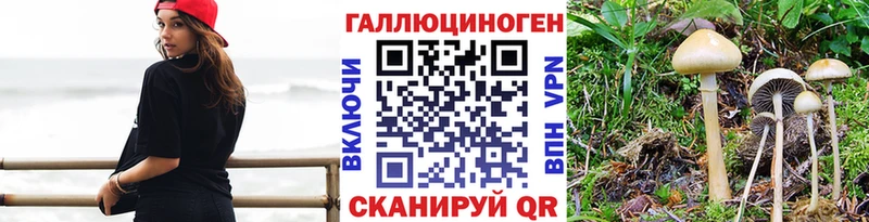 KRAKEN ССЫЛКА  Нюрба  Галлюциногенные грибы Magic Shrooms 